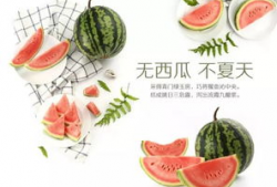 潍坊吃瓜最新爆料视频曝光,最新爆料视频曝光惊人内幕