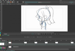 动漫帧数,揭秘动漫帧数背后的艺术魅力