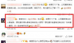 娱乐圈吃瓜爆料文本下载,揭秘明星背后的故事与真相